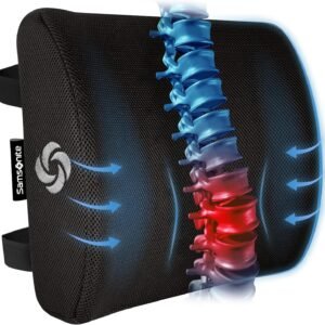 Samsonite Memory Foam Lumbar Support Pillow for Office Chair, Gaming Chair, or Automotive Use, Ergonomic Back Cushion, Office and Home Essentials for Sitting Comfort and Posture Relief Back Support